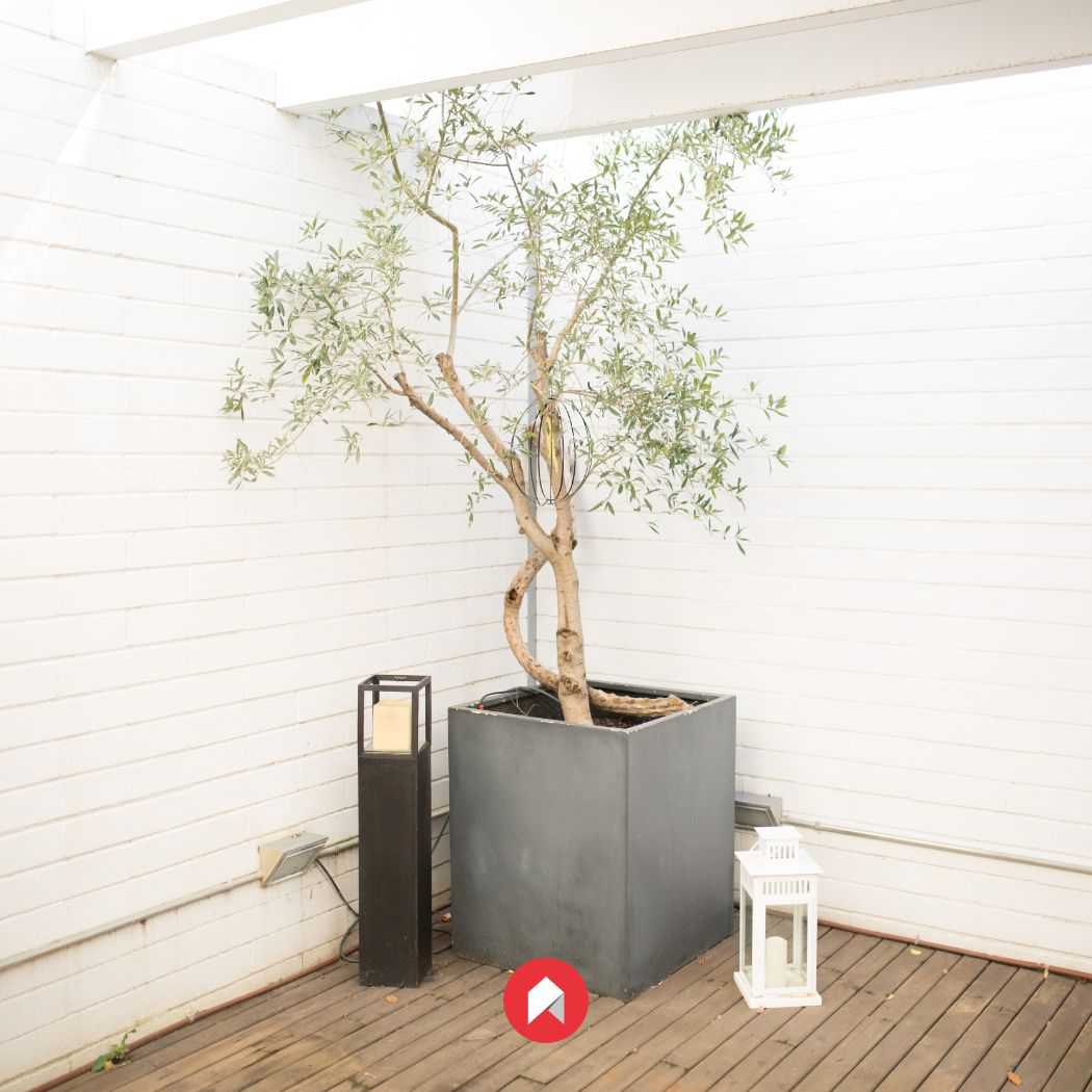 Taller para aprender sobre el home staging| Marbà