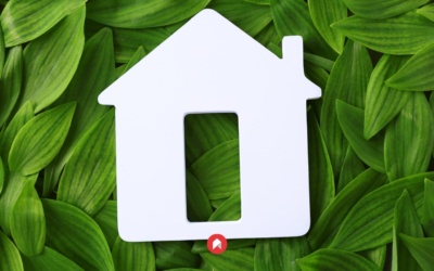 Descubre la sostenibilidad en el sector inmobiliario